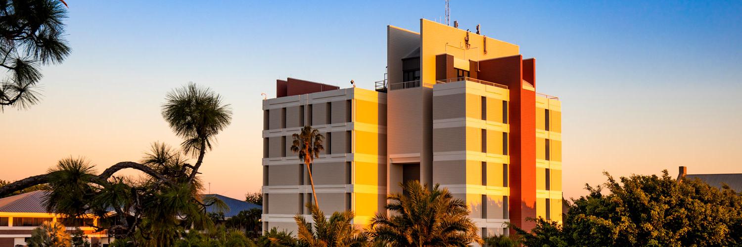 View of 工程 Building during Sunset